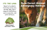 The new forest animal emergency hotline card